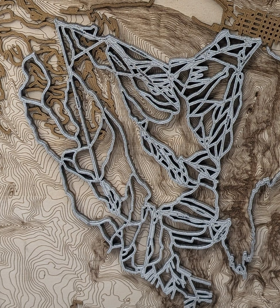 Telluride Ski Resort 3D Trail Map