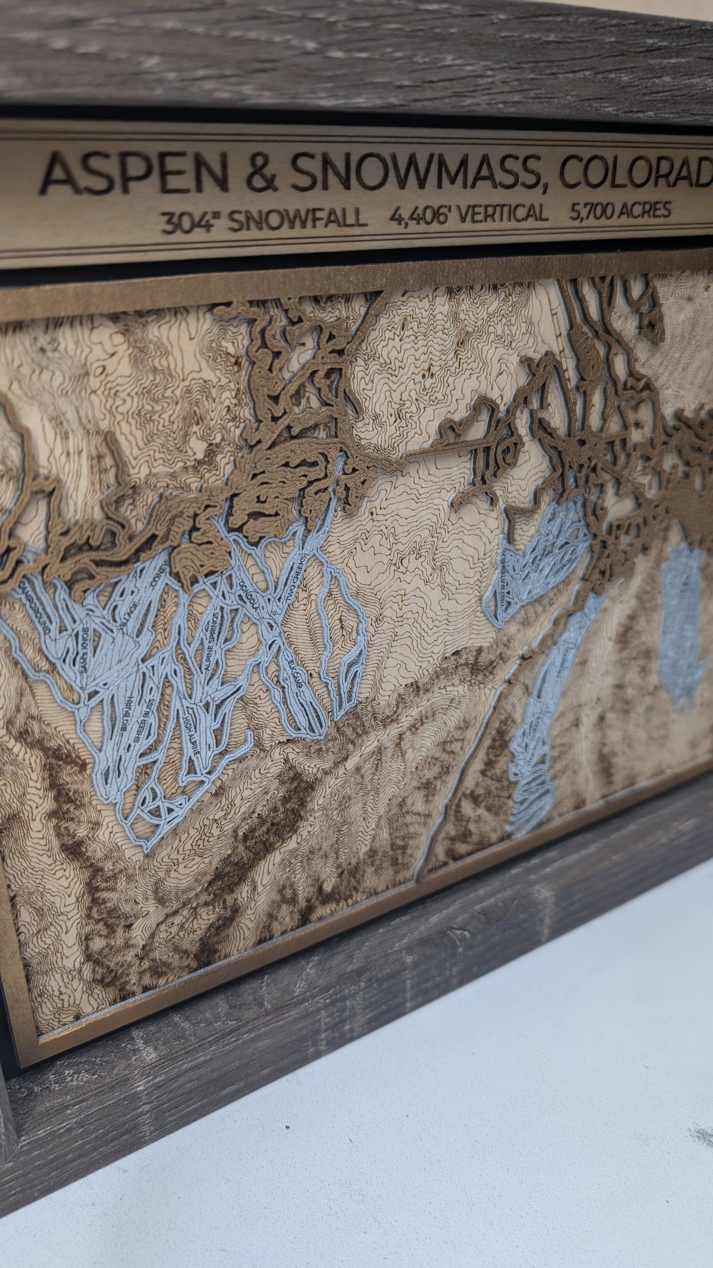 Aspen and Snowmass Ski Resort 3D Trail Map