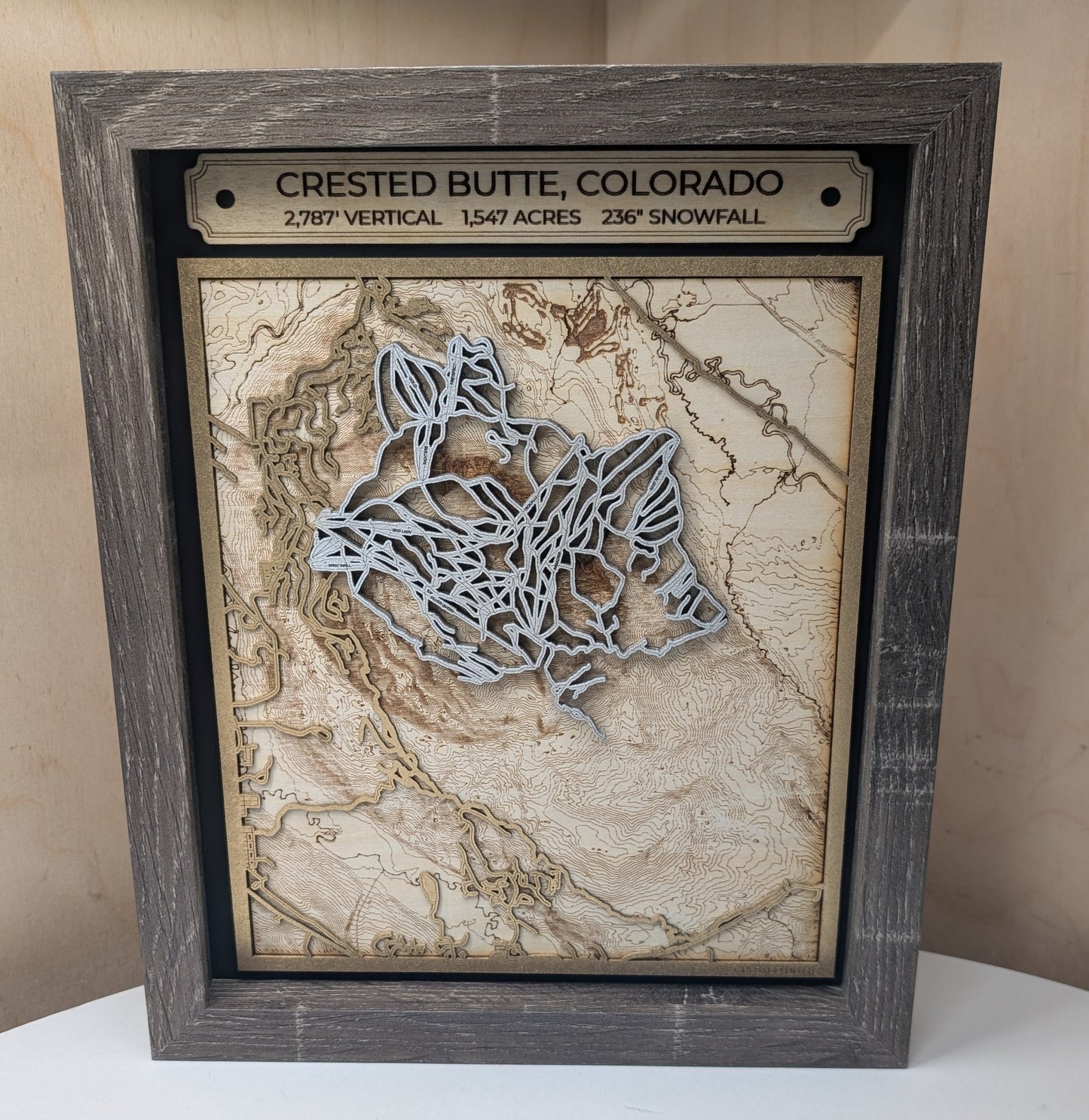 Crested Butte - 3D Trail Map