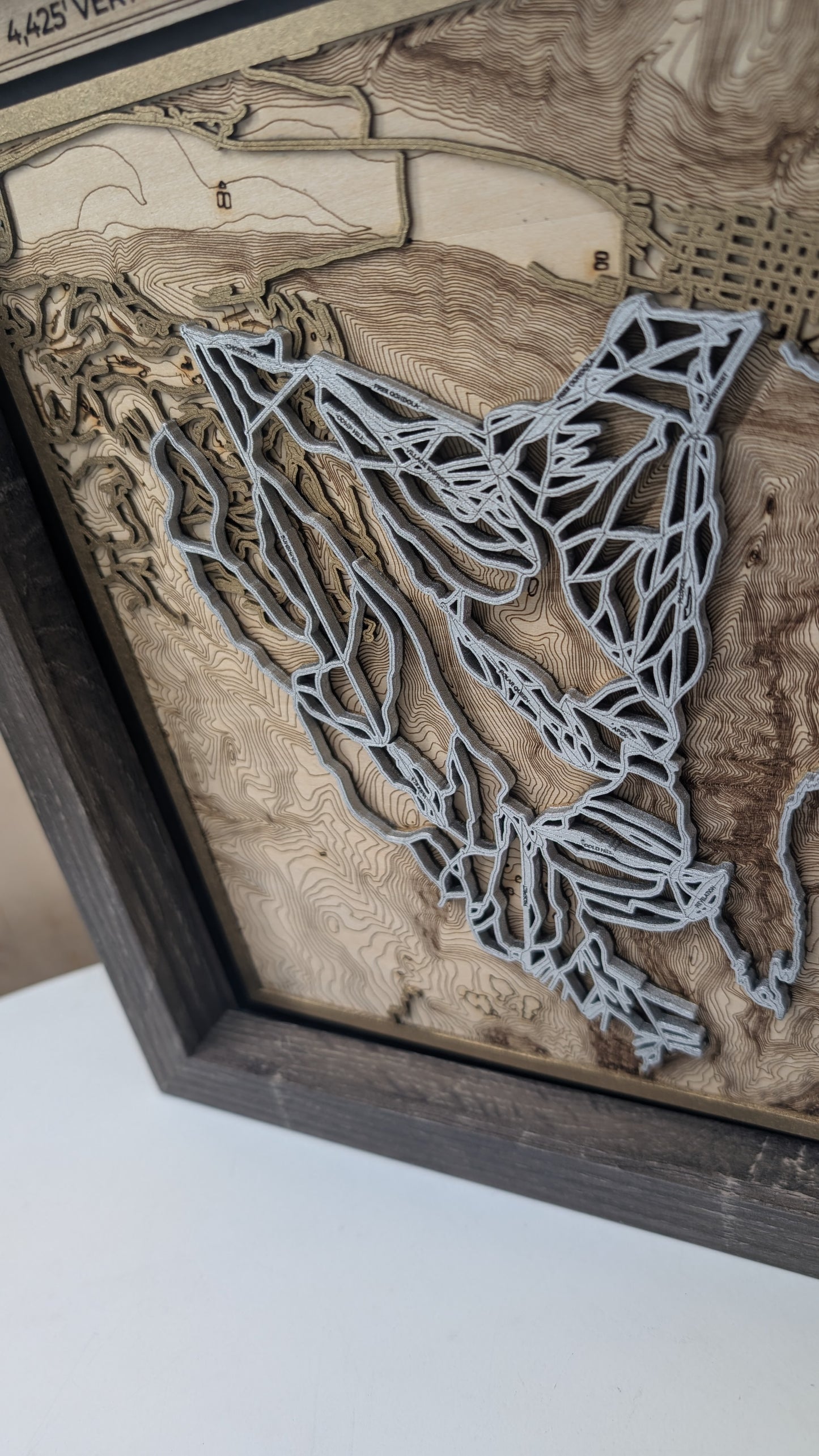 Crested Butte - 3D Trail Map