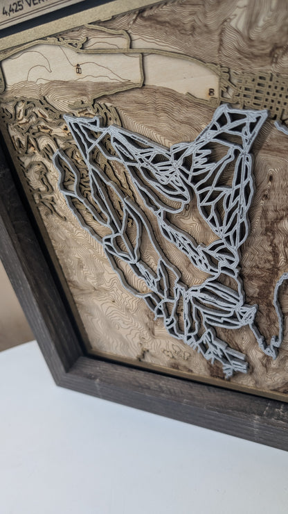 Crested Butte - 3D Trail Map