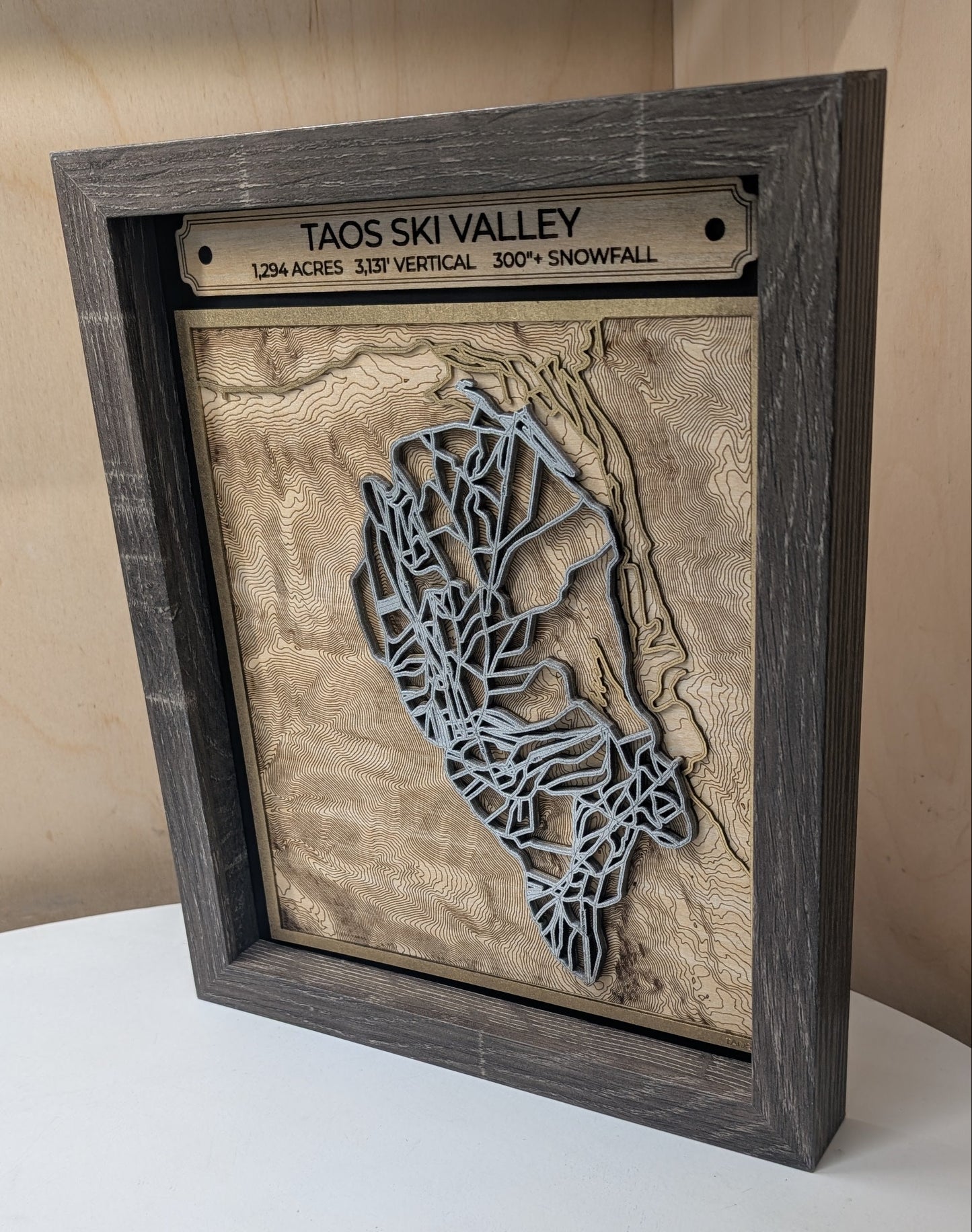 Taos Ski Valley - 3D Trail Map