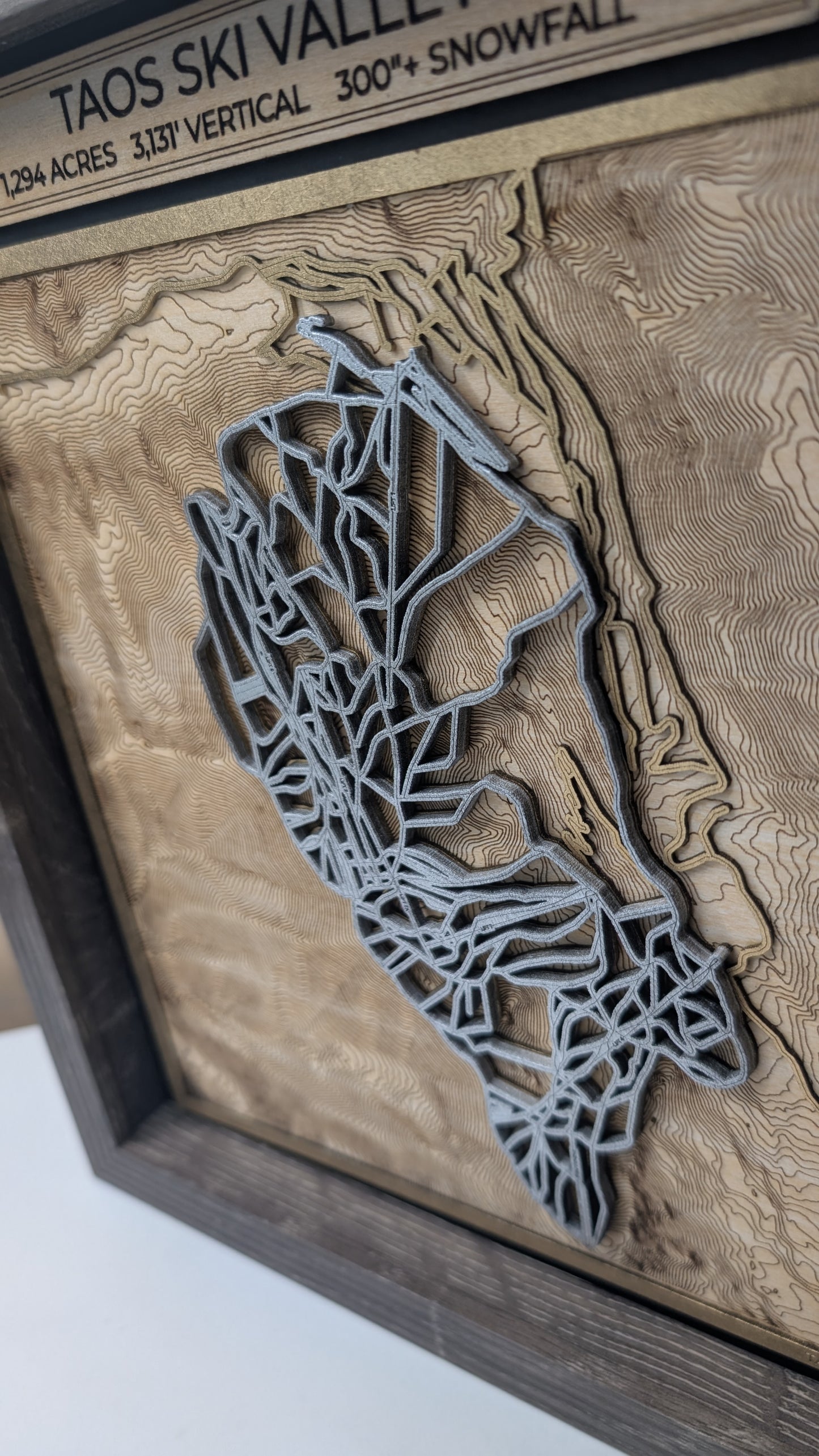 Taos Ski Valley - 3D Trail Map