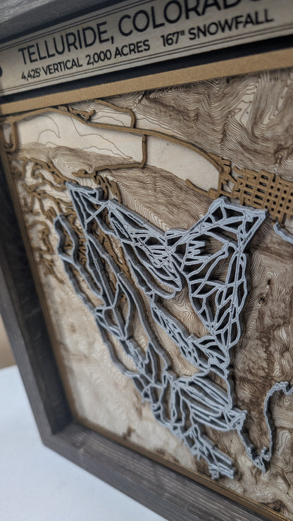 Telluride Ski Resort 3D Trail Map