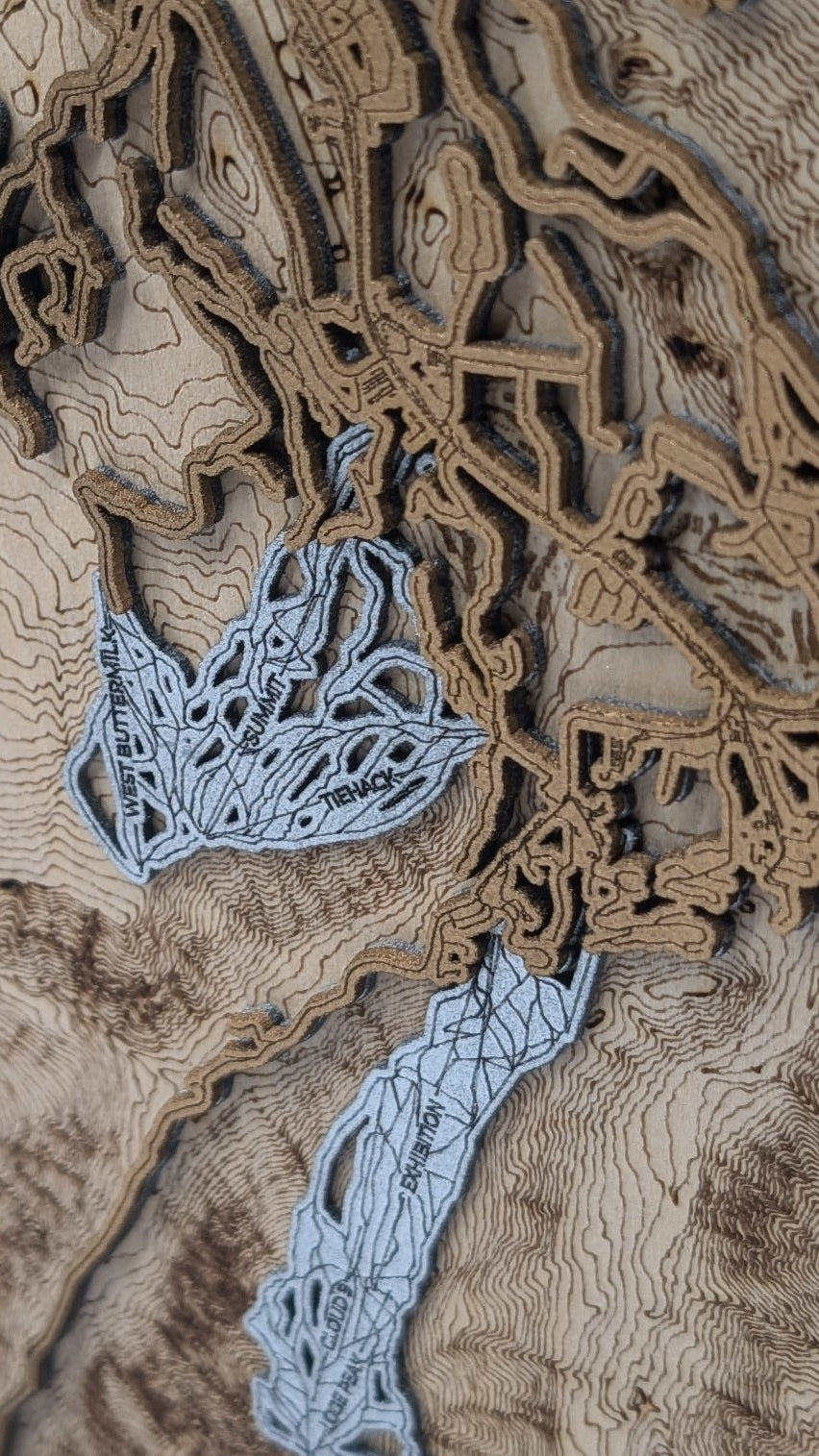 Aspen and Snowmass Ski Resort 3D Trail Map