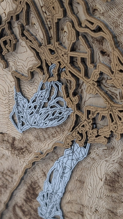 Aspen and Snowmass Ski Resort 3D Trail Map