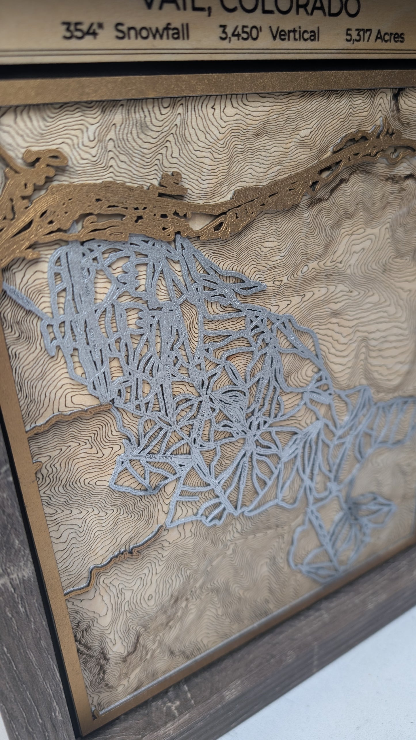 Steamboat 3D Trail Map