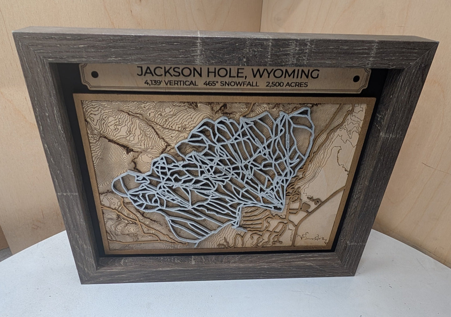 Jackson Hole Ski Resort 3D Trail Map