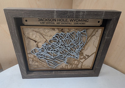 Jackson Hole Ski Resort 3D Trail Map