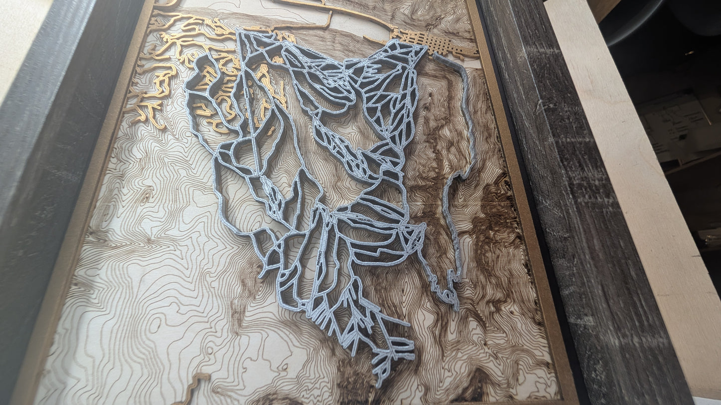 Telluride Ski Resort 3D Trail Map