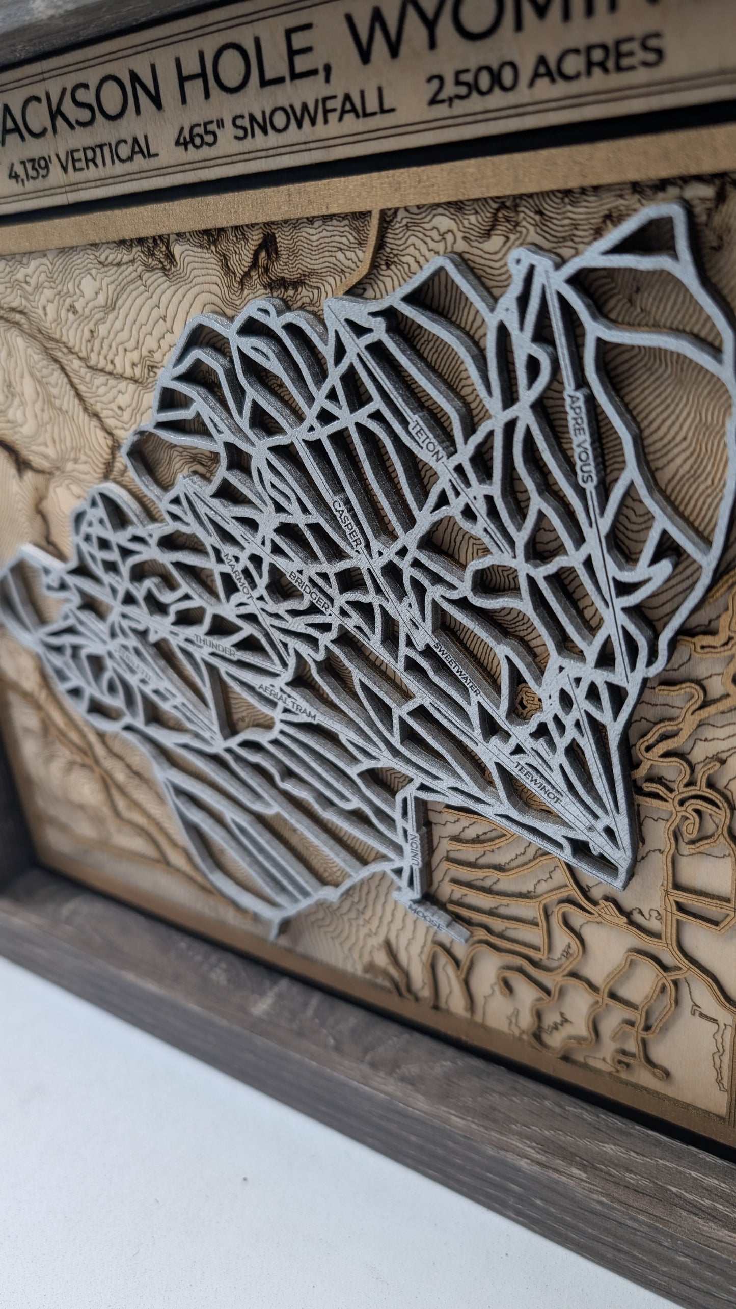 Jackson Hole Ski Resort 3D Trail Map