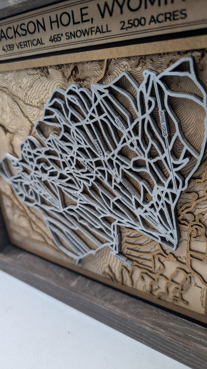 Jackson Hole Ski Resort 3D Trail Map