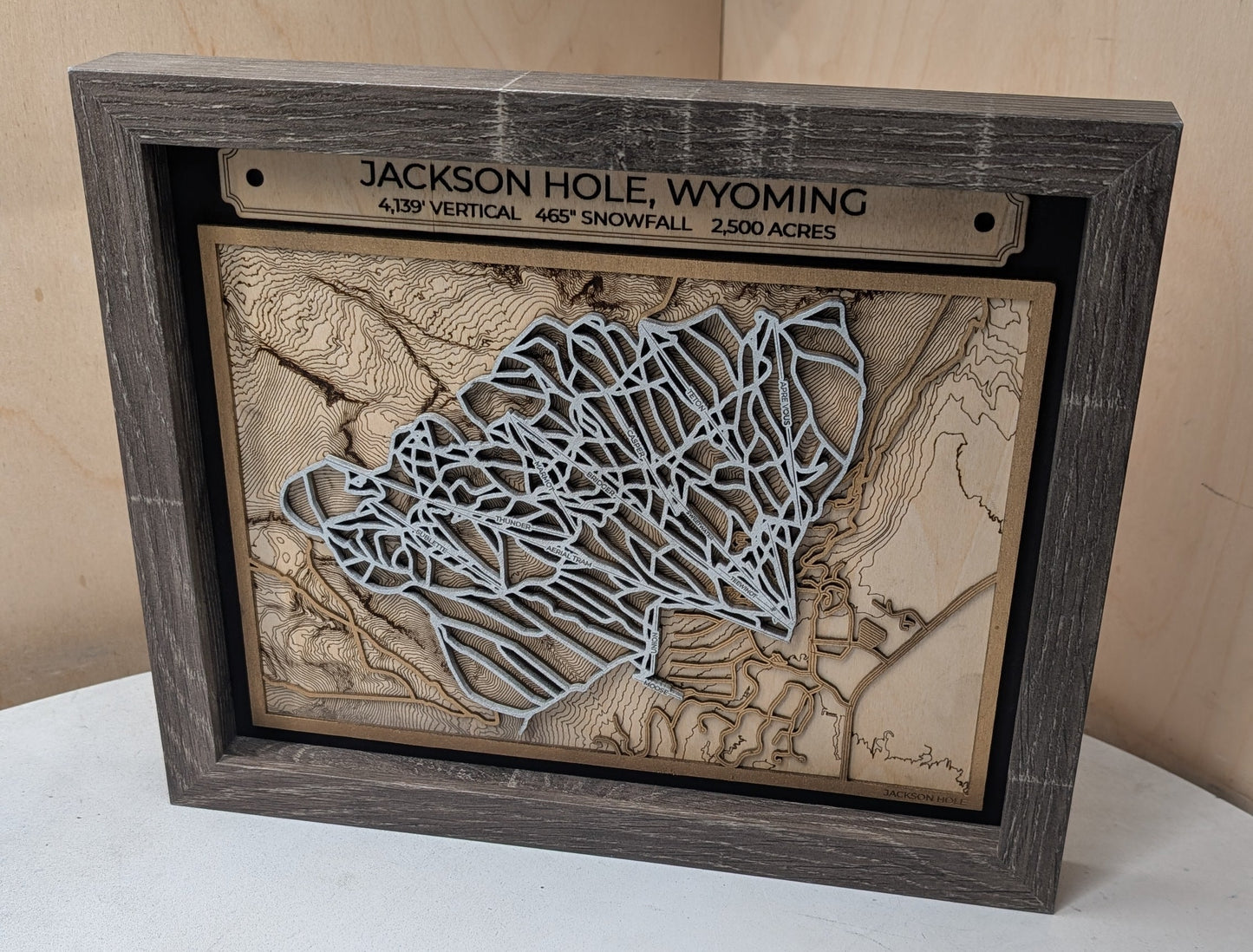 Jackson Hole Ski Resort 3D Trail Map