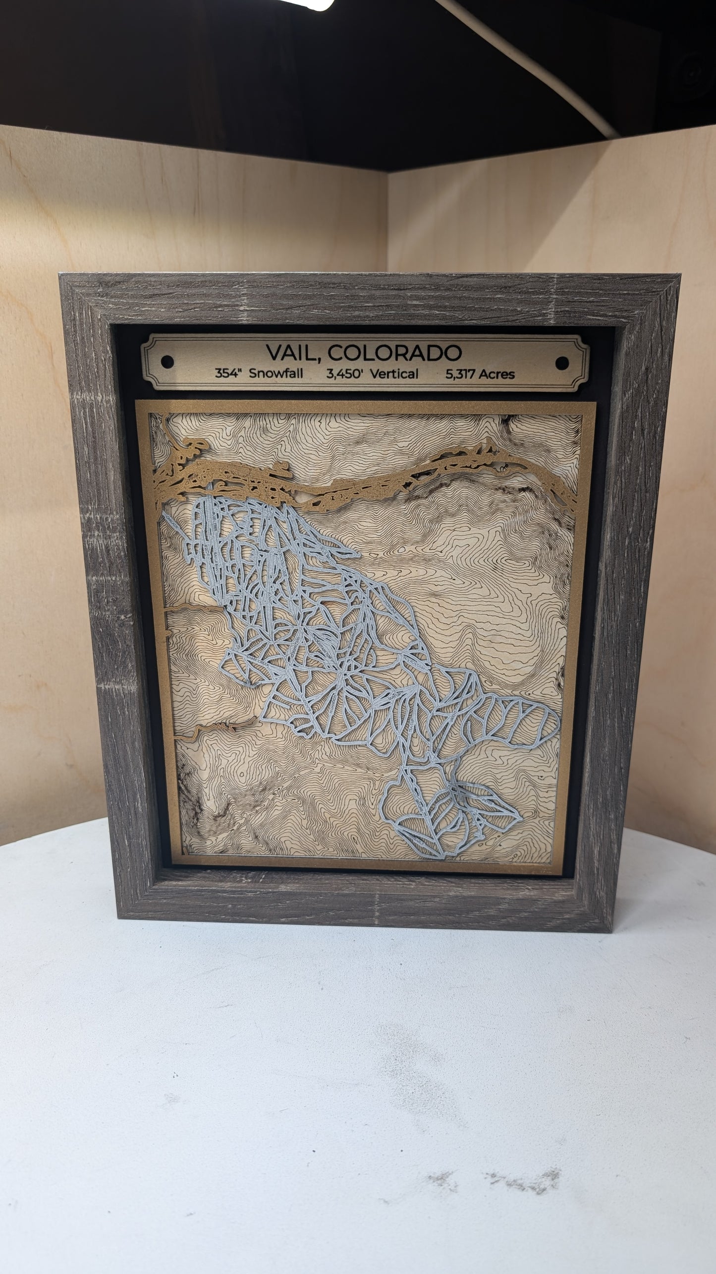 Steamboat 3D Trail Map