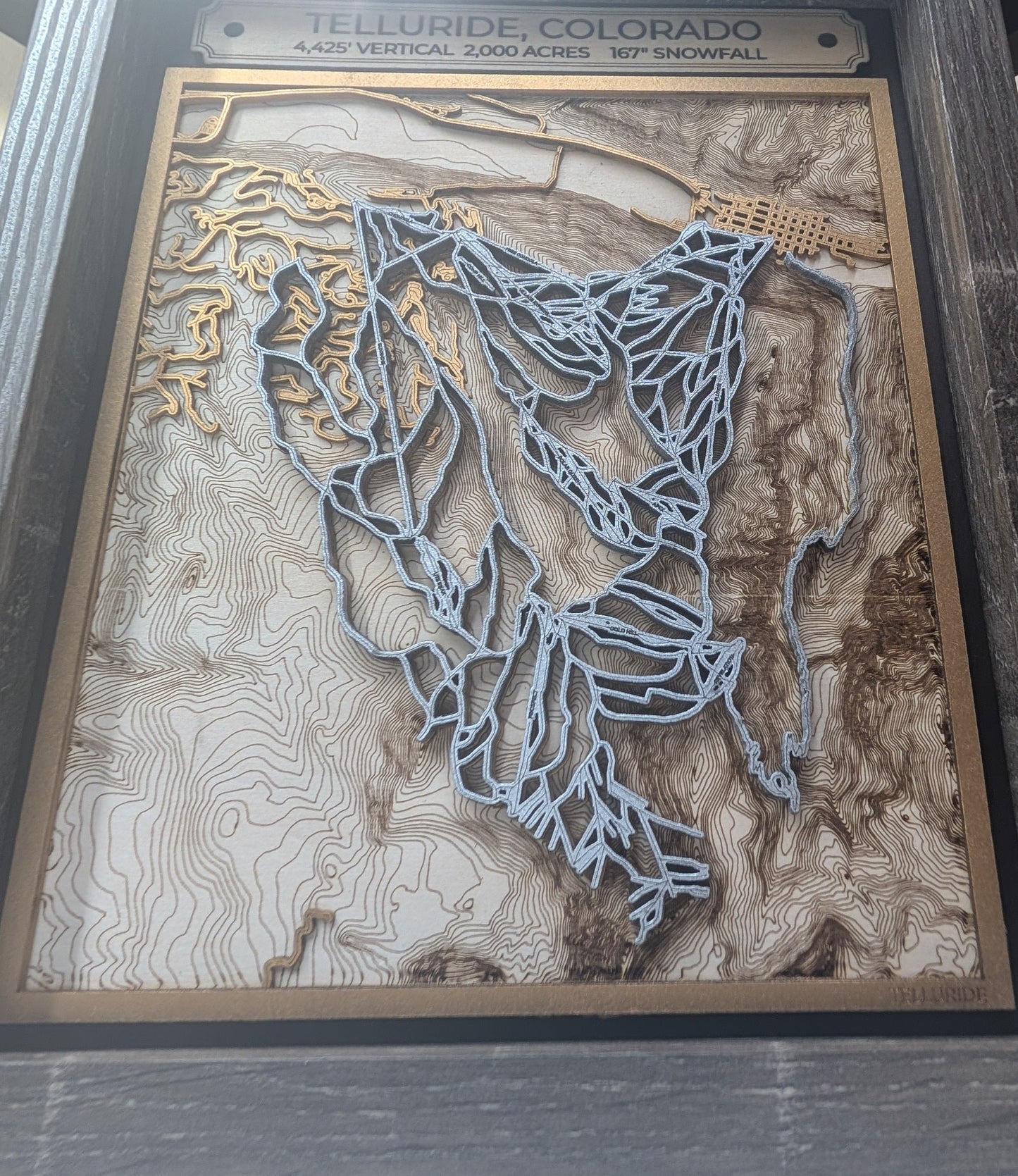 Telluride Ski Resort 3D Trail Map