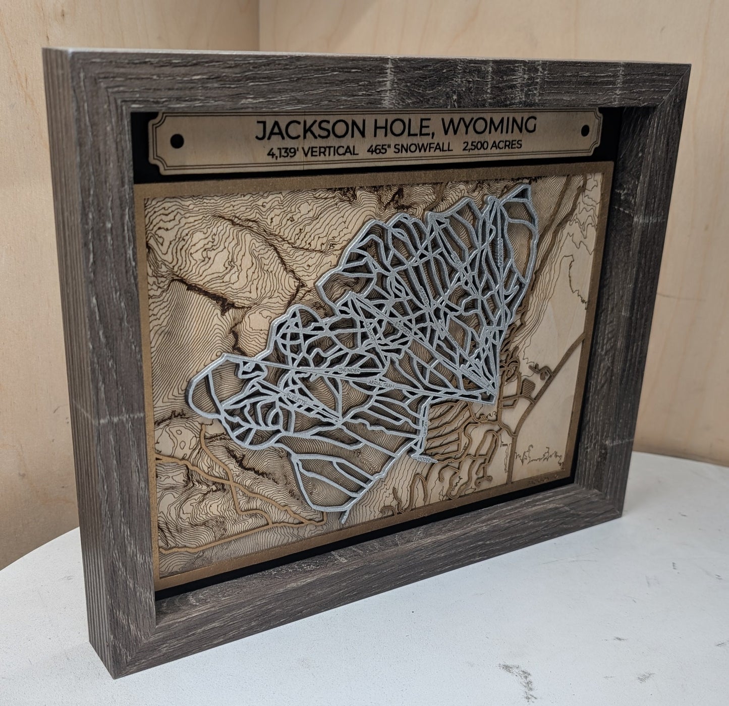 Jackson Hole Ski Resort 3D Trail Map