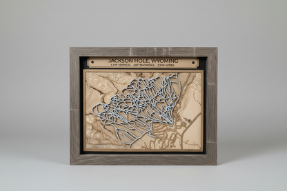 Jackson Hole Ski Resort 3D Trail Map