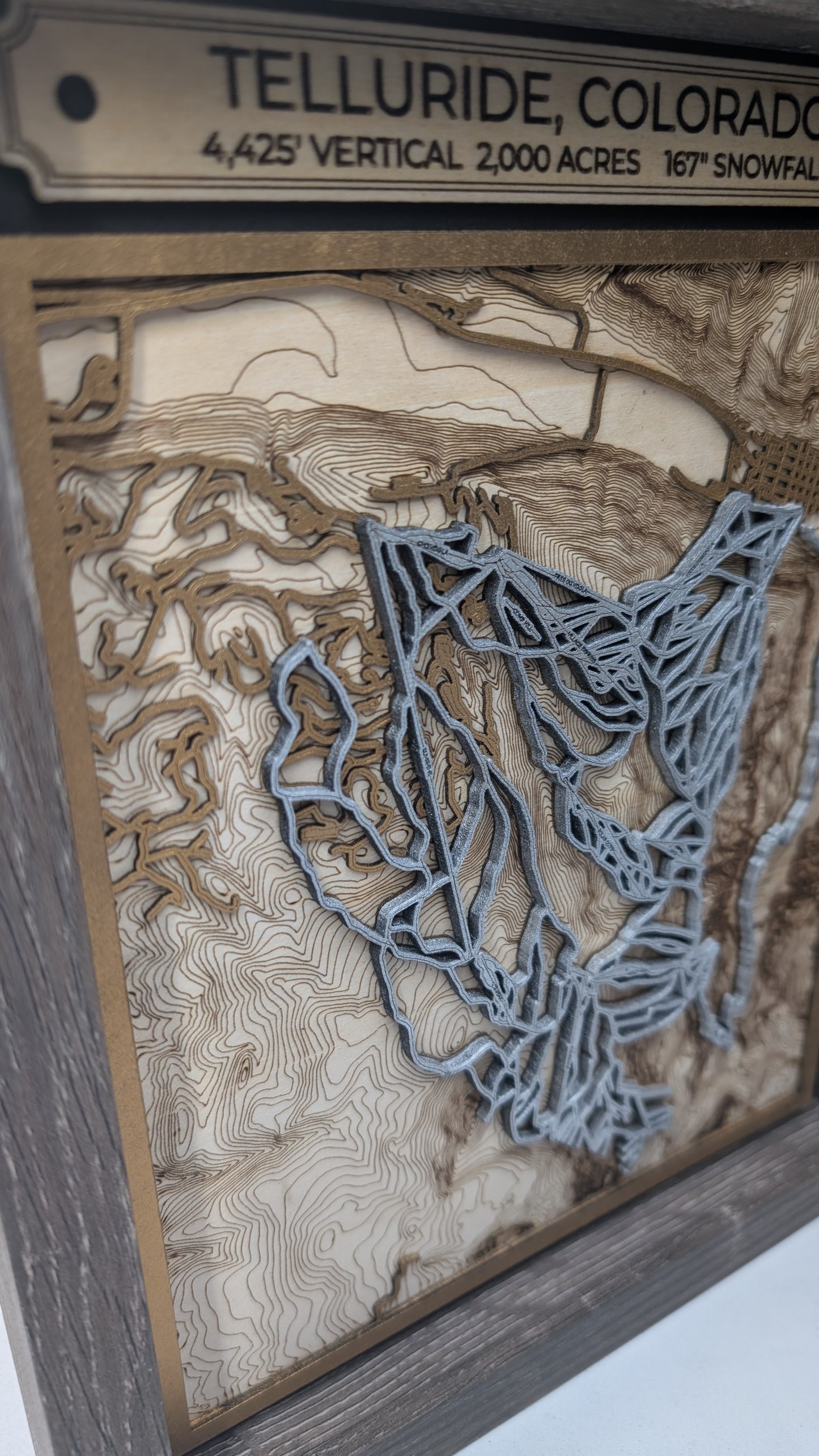 Telluride Ski Resort 3D Trail Map