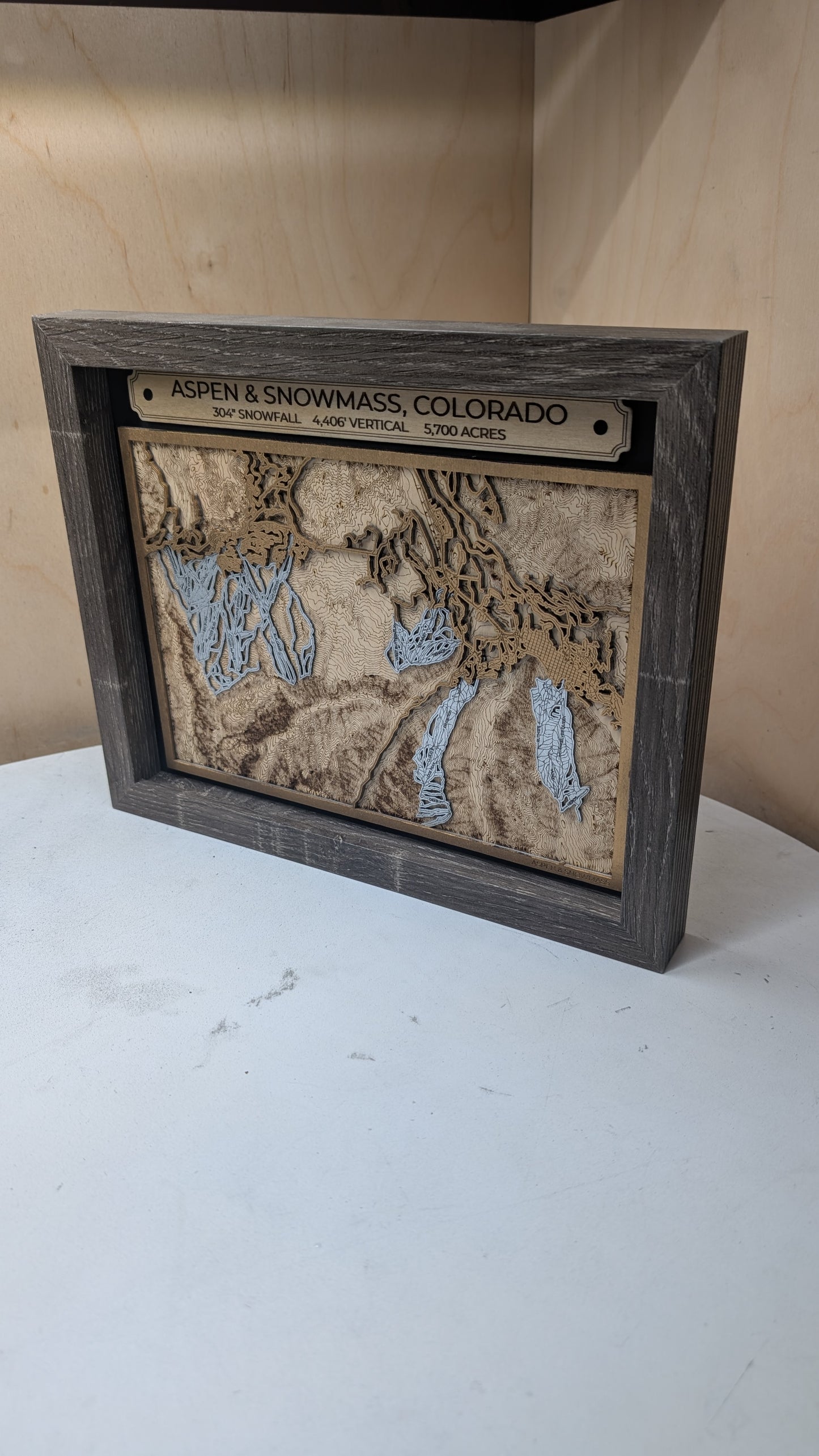 Aspen and Snowmass Ski Resort 3D Trail Map