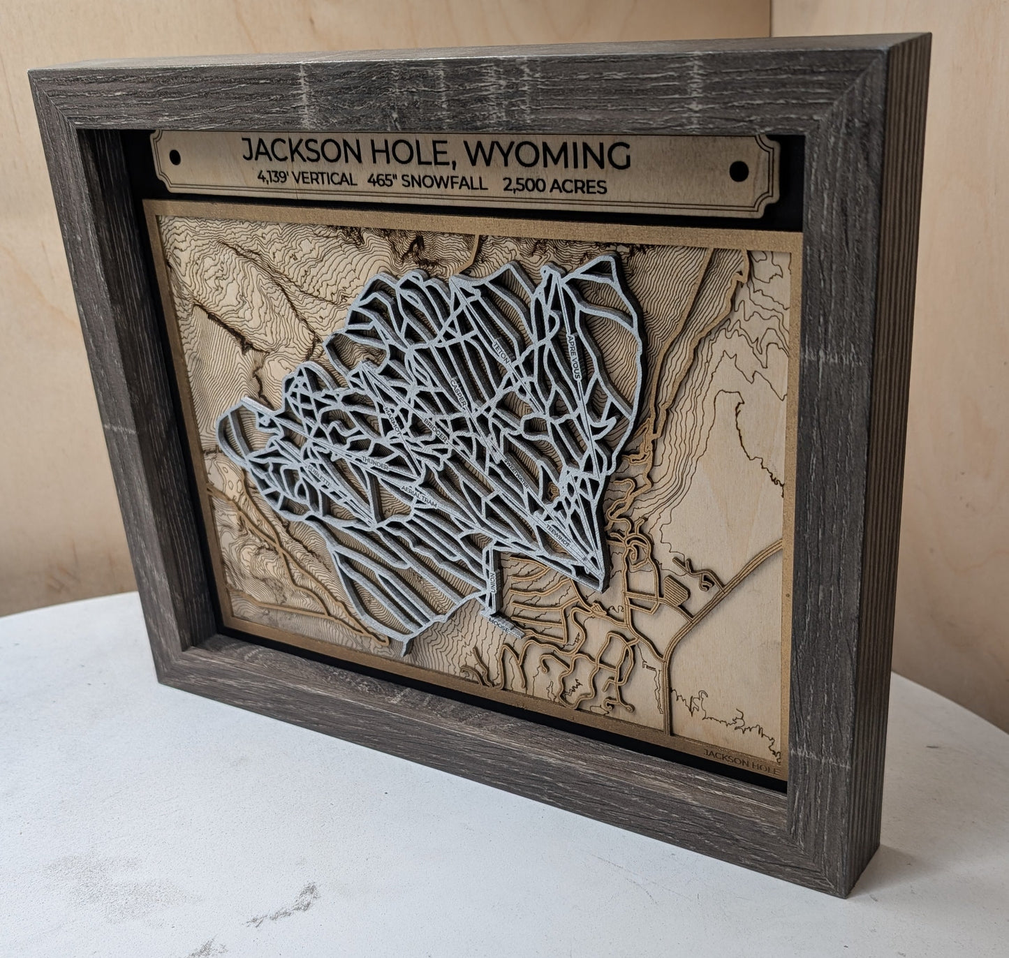 Jackson Hole Ski Resort 3D Trail Map